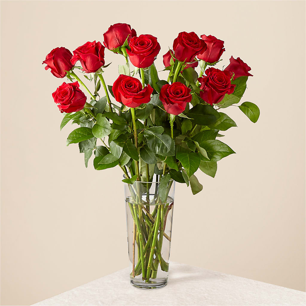 Long Stem Red Rose Bouquet – GORDILLO'S FLOWERS AND GIFTS LLC, Mishawaka IN