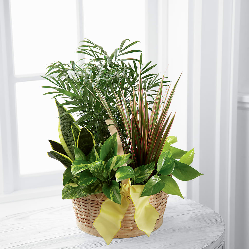 French Garden – GORDILLO'S FLOWERS AND GIFTS LLC, Mishawaka IN