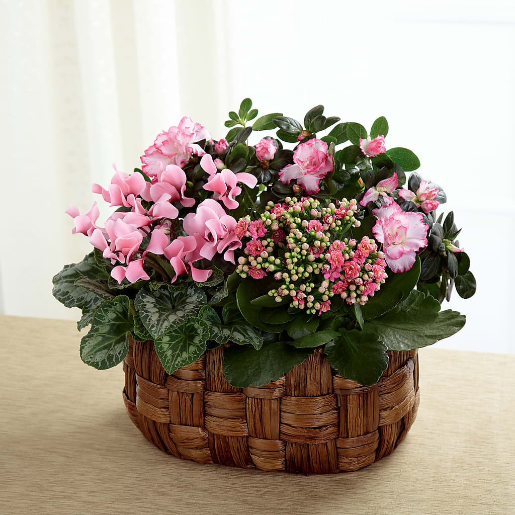 Pink Assortment – GORDILLO'S FLOWERS AND GIFTS LLC, Mishawaka IN