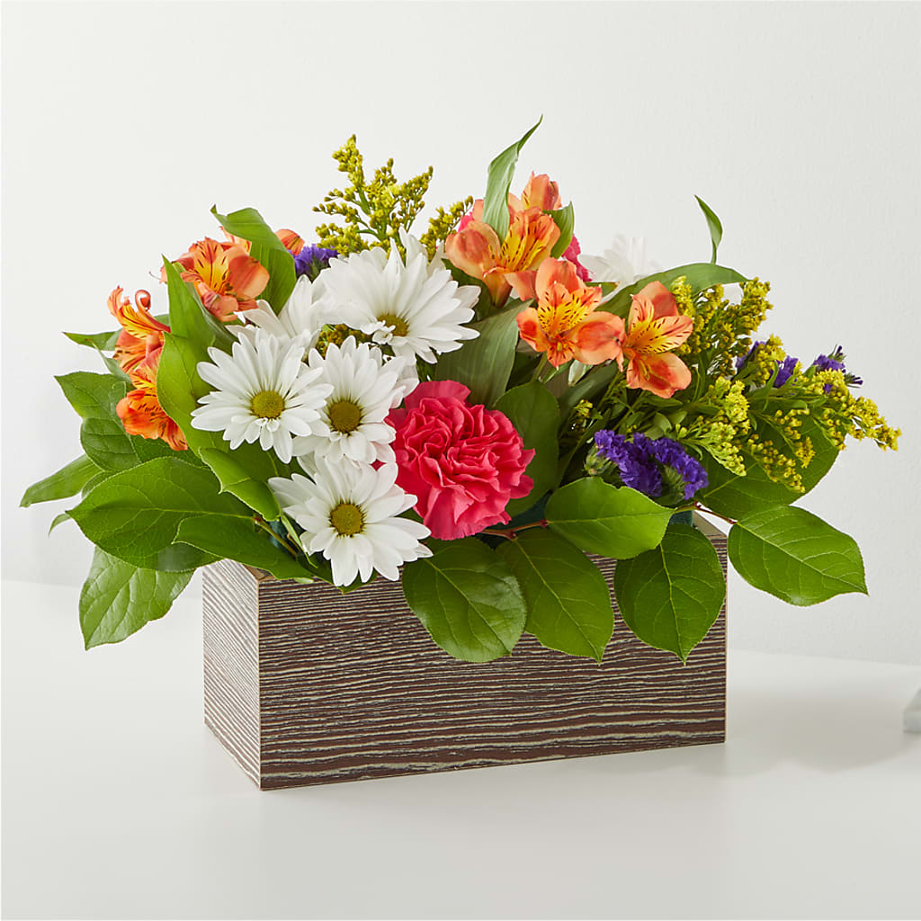 Oopsie Daisy Box Bouquet – GORDILLO'S FLOWERS AND GIFTS LLC, Mishawaka IN