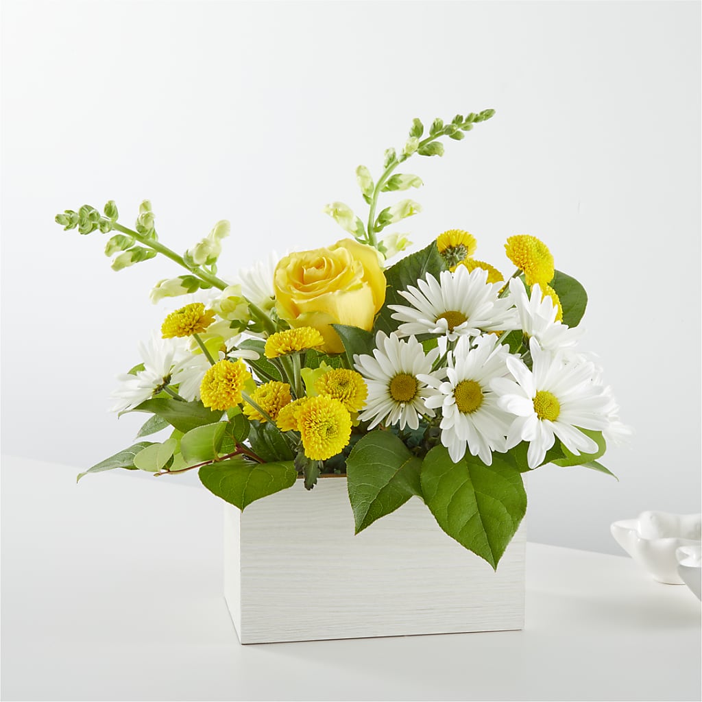 Sun Salutation Box Bouquet – GORDILLO'S FLOWERS AND GIFTS LLC, Mishawaka IN