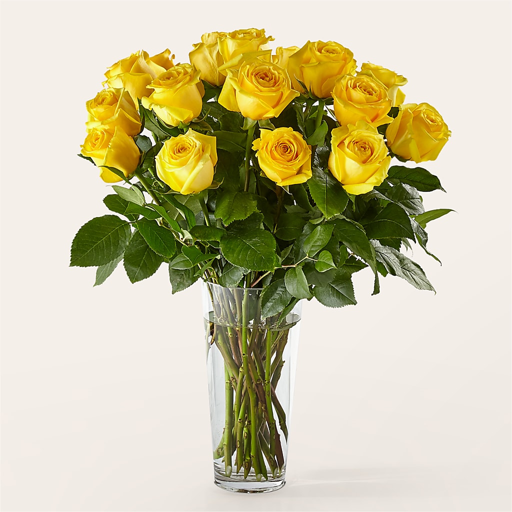 Long Stem Yellow Rose Bouquet – GORDILLO'S FLOWERS AND GIFTS LLC, Mishawaka IN
