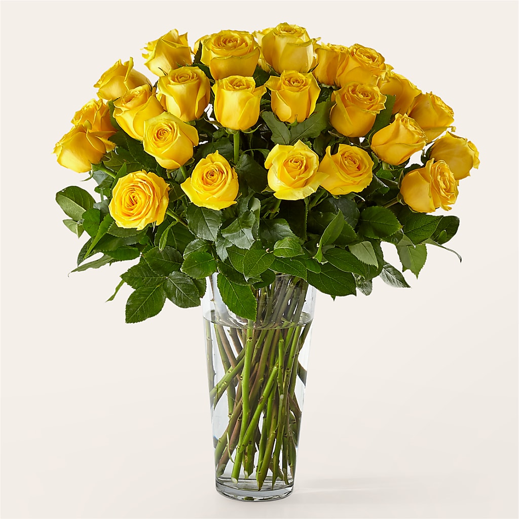 Long Stem Yellow Rose Bouquet – GORDILLO'S FLOWERS AND GIFTS LLC, Mishawaka IN