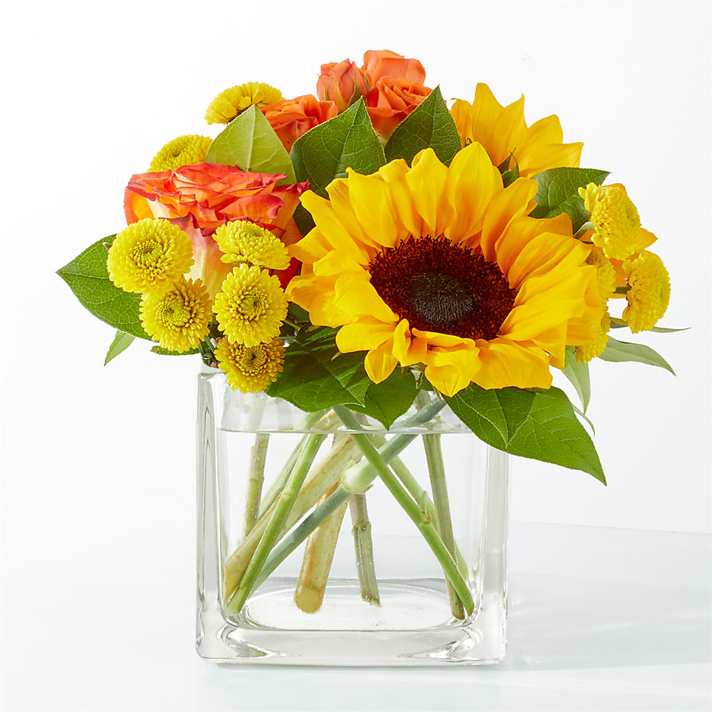 Picnic in the Park Bouquet – GORDILLO'S FLOWERS AND GIFTS LLC, Mishawaka IN
