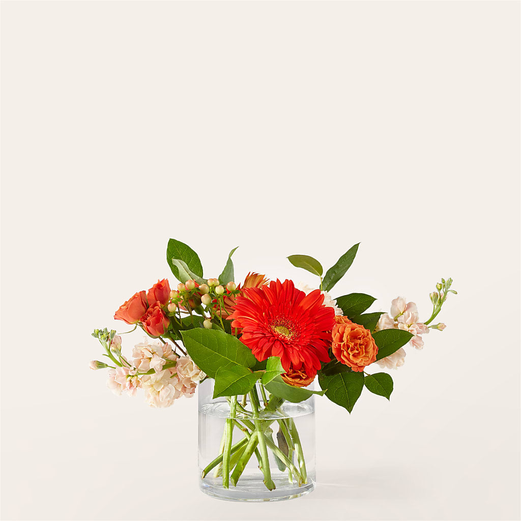 Paloma Please Bouquet – GORDILLO'S FLOWERS AND GIFTS LLC, Mishawaka IN