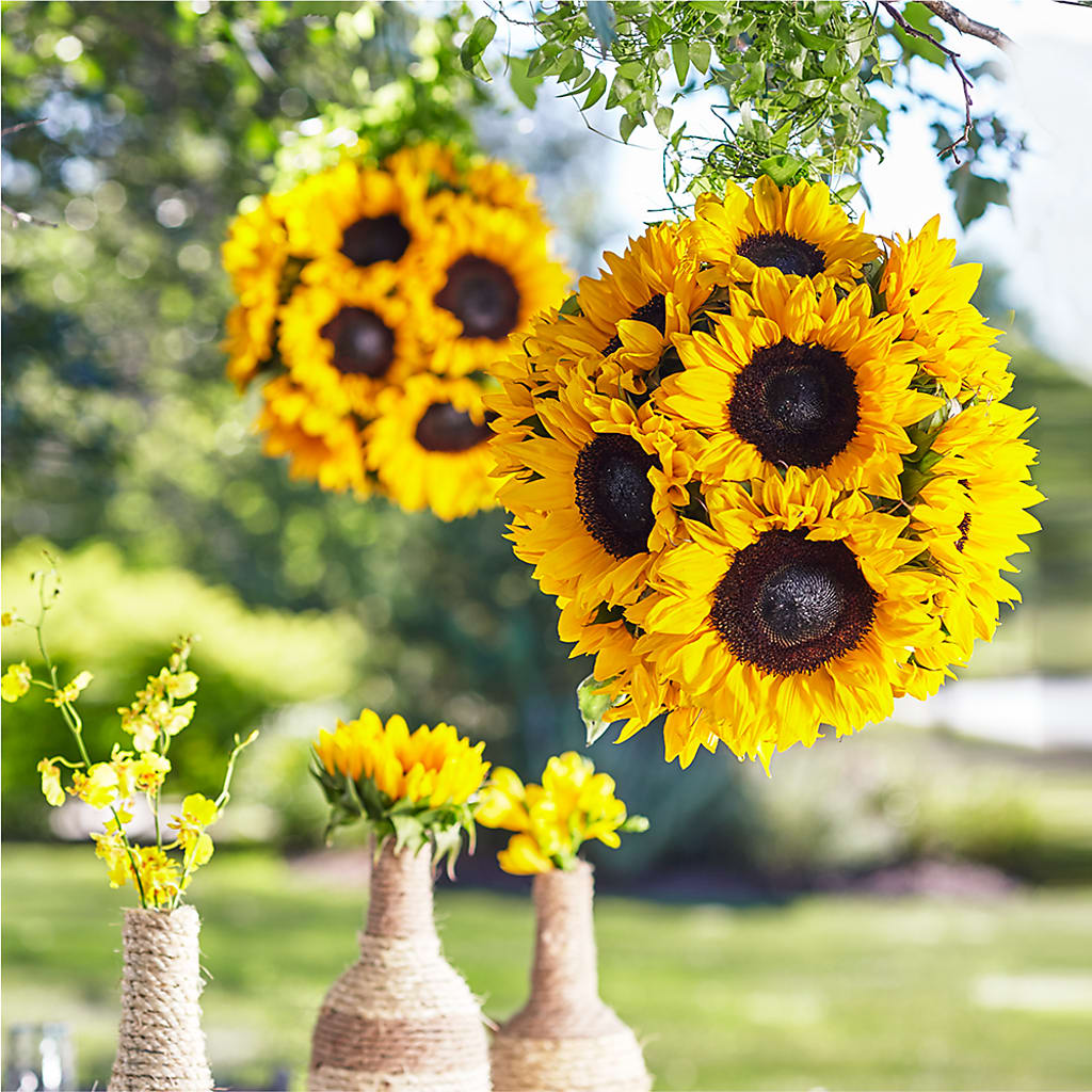 Sublime Garden Hanging Arrangement – GORDILLO'S FLOWERS AND GIFTS LLC, Mishawaka IN