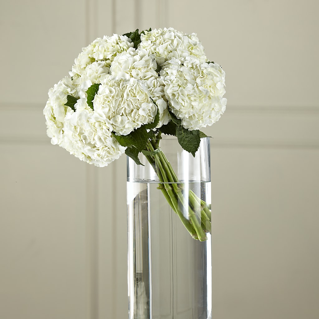 White Hydrangea Hand-Tied Bouquet – GORDILLO'S FLOWERS AND GIFTS LLC, Mishawaka IN