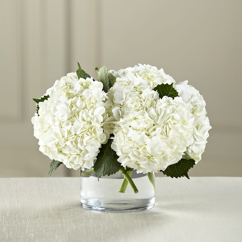 White Hydrangea Bouquet – GORDILLO'S FLOWERS AND GIFTS LLC, Mishawaka IN
