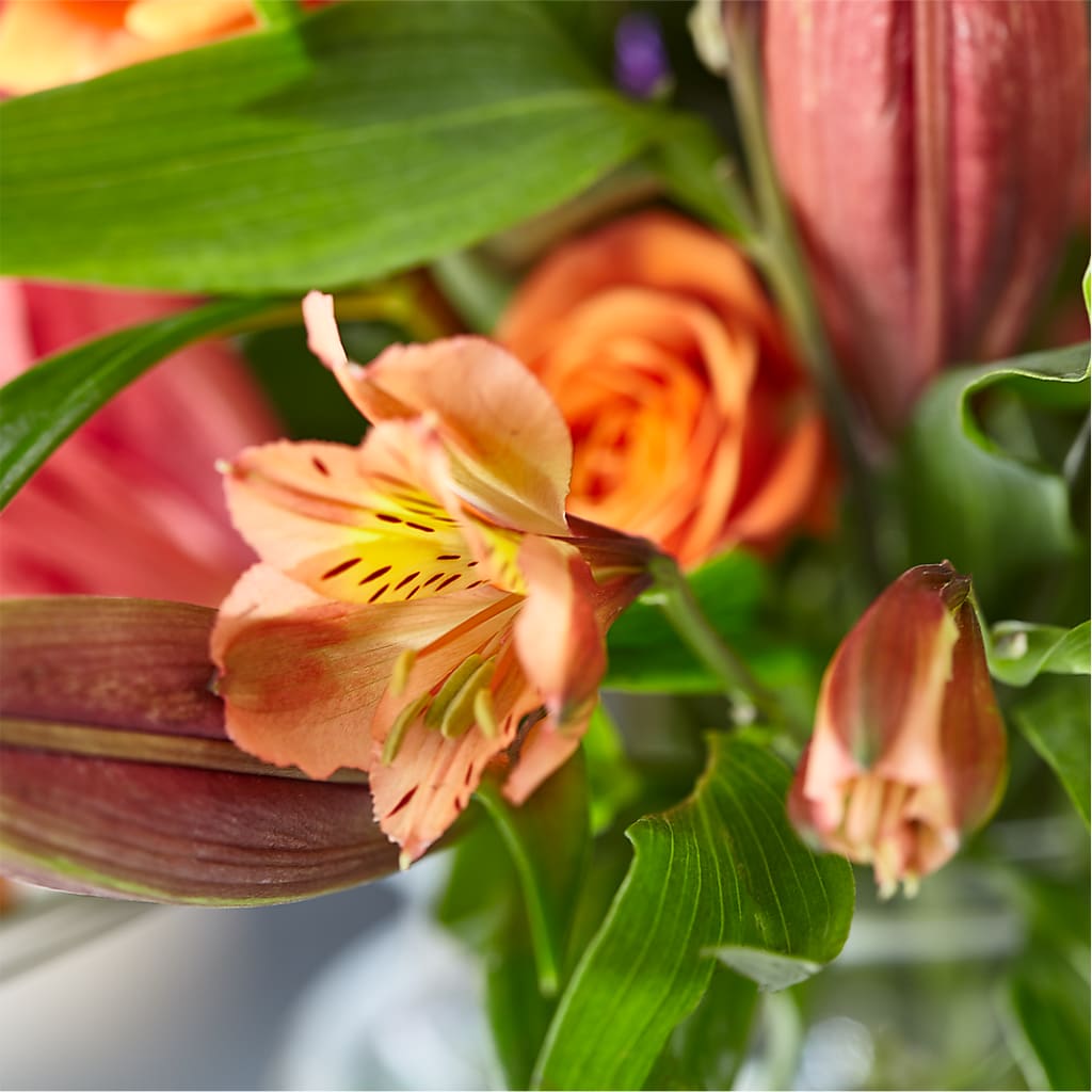 Bold & Bright – A Florist Original – GORDILLO'S FLOWERS AND GIFTS LLC, Mishawaka IN
