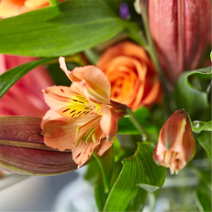 Bold & Bright – A Florist Original – GORDILLO'S FLOWERS AND GIFTS LLC, Mishawaka IN
