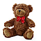 Adorable Plush Bear – GORDILLO'S FLOWERS AND GIFTS LLC, Mishawaka IN