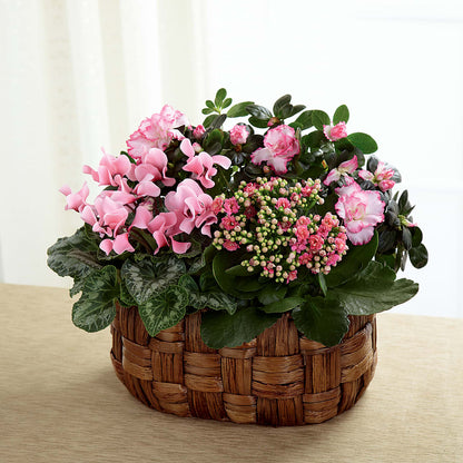 Pink Assortment – GORDILLO'S FLOWERS AND GIFTS LLC, Mishawaka IN