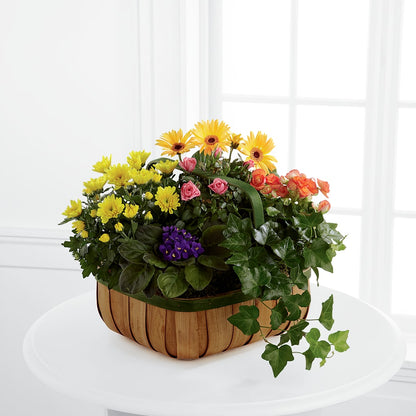 Gentle Blossoms Basket – GORDILLO'S FLOWERS AND GIFTS LLC, Mishawaka IN