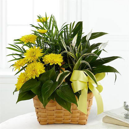 Loving Light Dishgarden – GORDILLO'S FLOWERS AND GIFTS LLC, Mishawaka IN