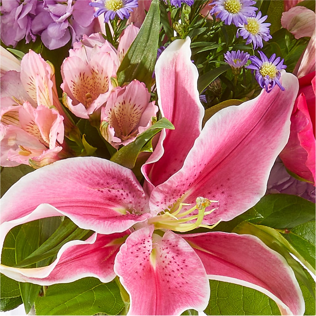 Written in the Stars Bouquet – GORDILLO'S FLOWERS AND GIFTS LLC, Mishawaka IN