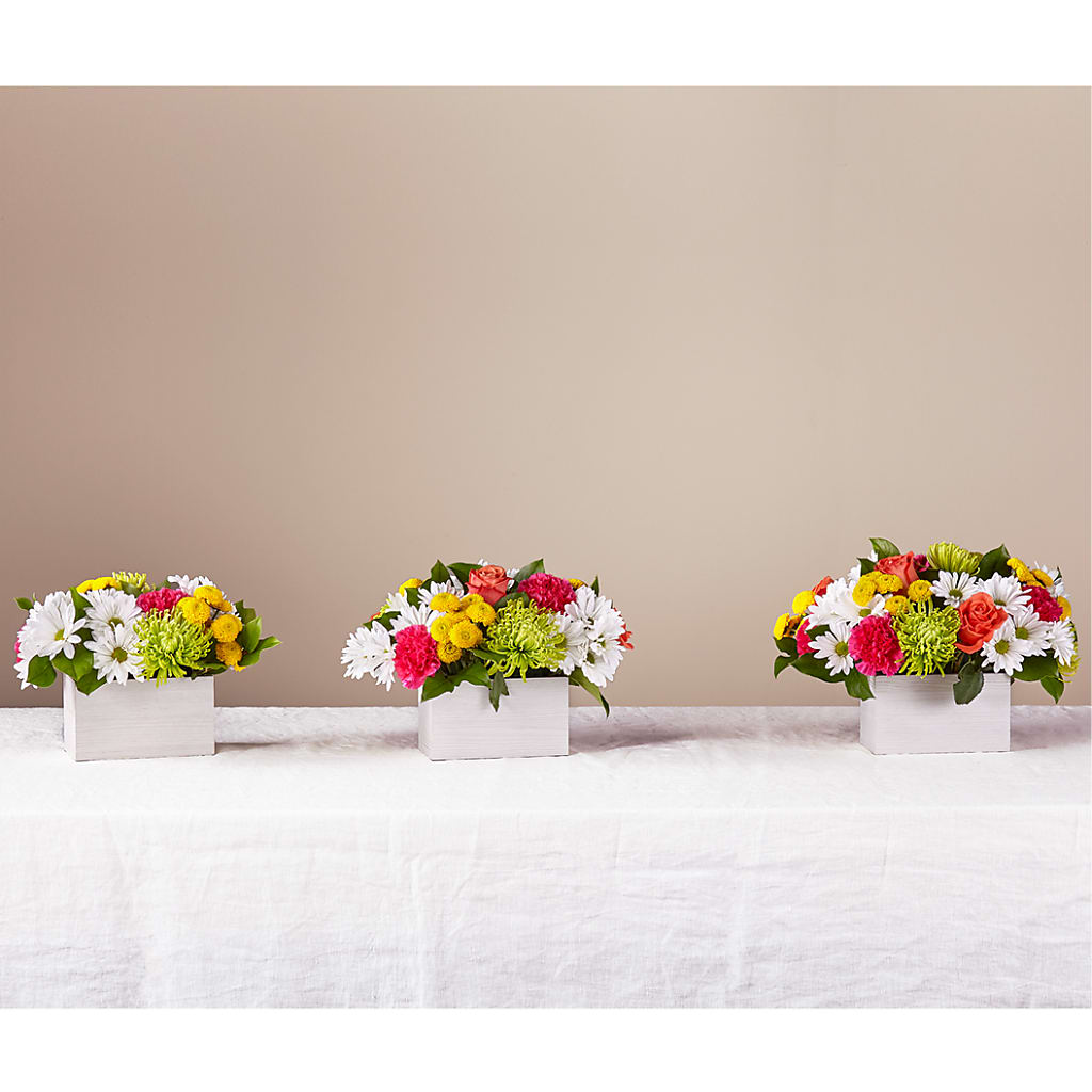 Sorbet Bouquet – GORDILLO'S FLOWERS AND GIFTS LLC, Mishawaka IN