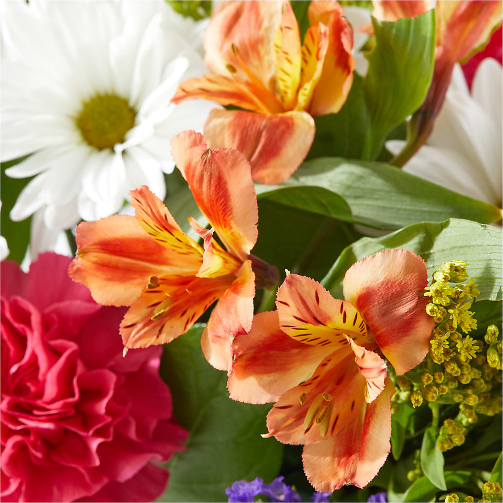 Oopsie Daisy Box Bouquet – GORDILLO'S FLOWERS AND GIFTS LLC, Mishawaka IN