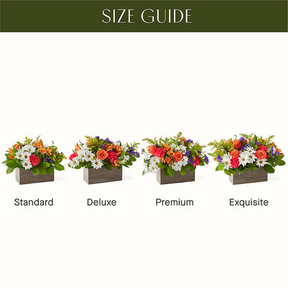 Oopsie Daisy Box Bouquet – GORDILLO'S FLOWERS AND GIFTS LLC, Mishawaka IN