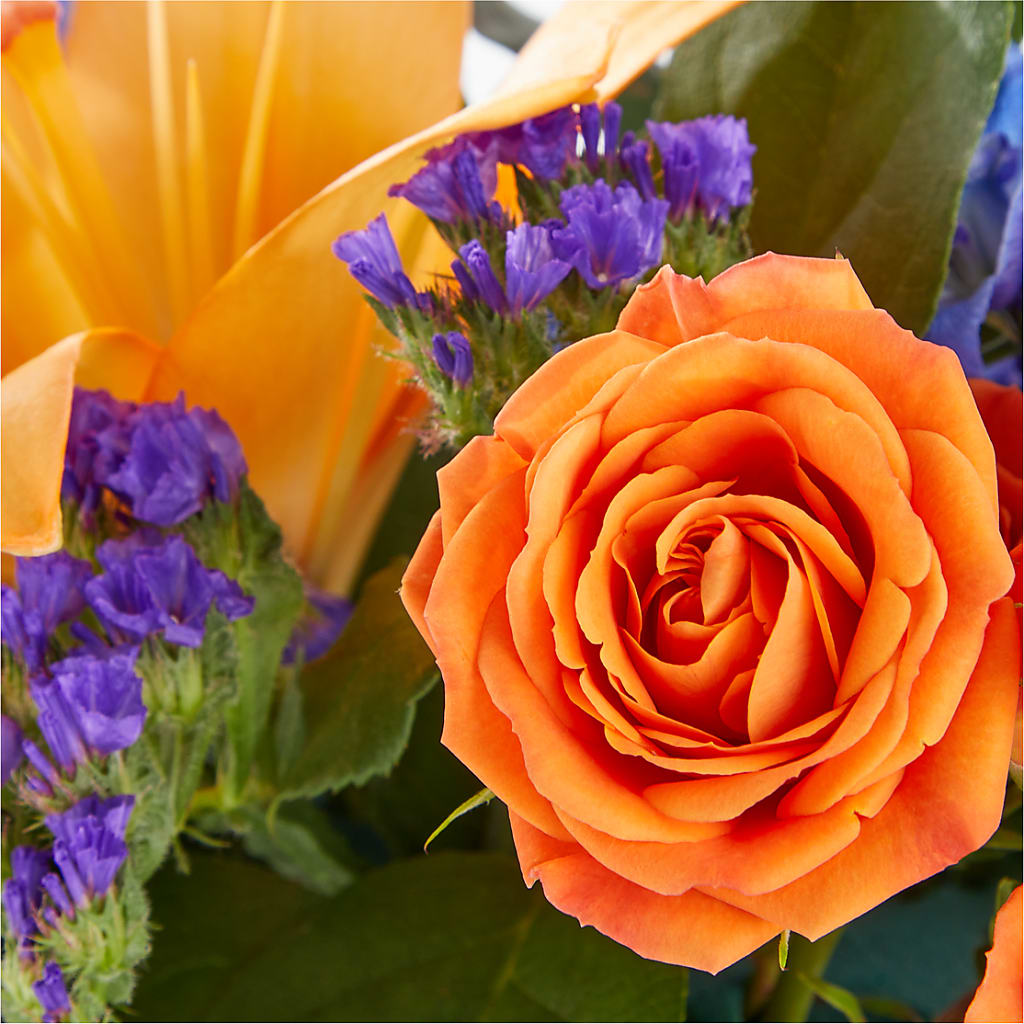 Radiant Citrus Box Bouquet – GORDILLO'S FLOWERS AND GIFTS LLC, Mishawaka IN