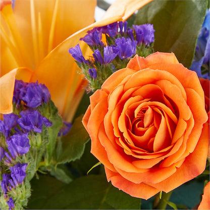 Radiant Citrus Box Bouquet – GORDILLO'S FLOWERS AND GIFTS LLC, Mishawaka IN