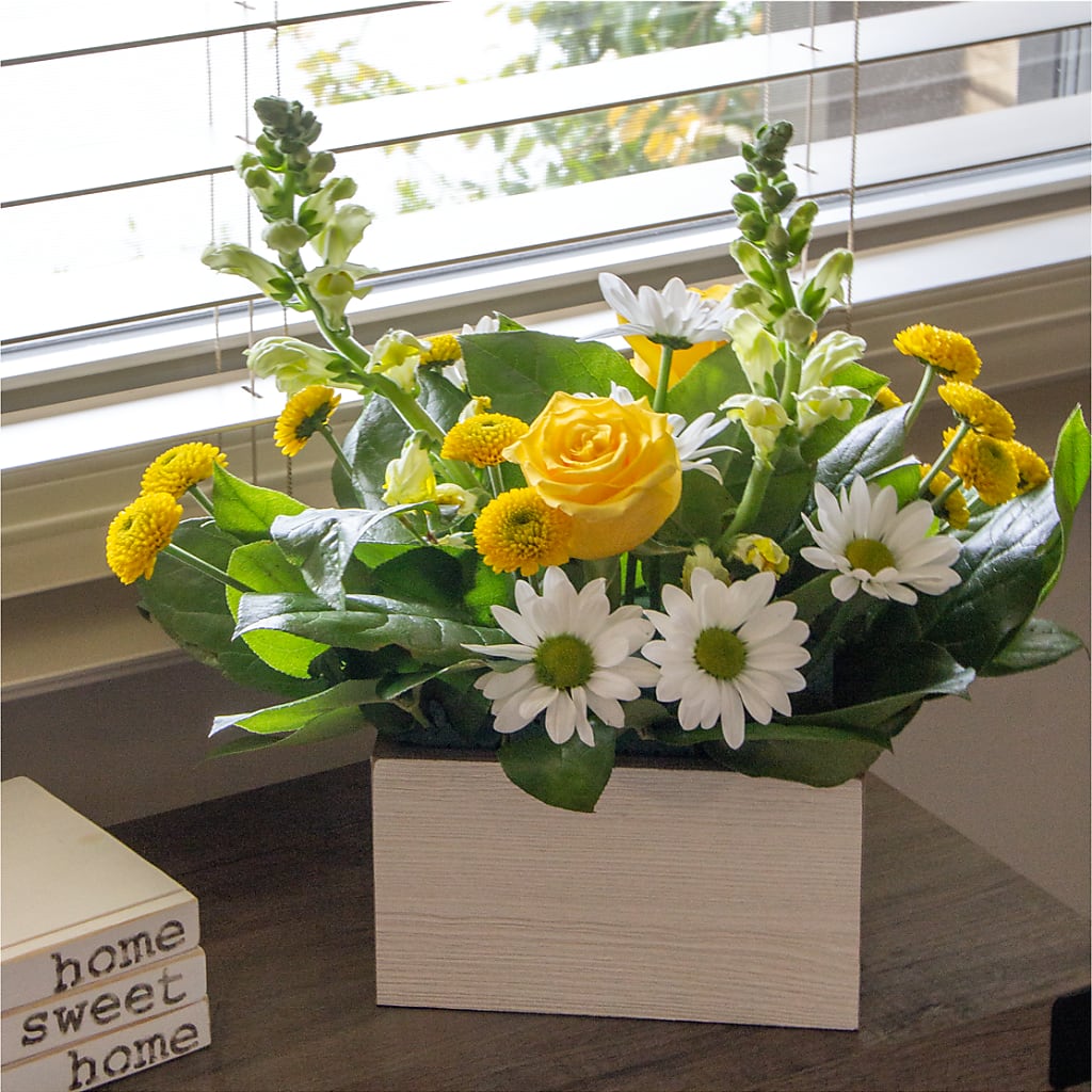 Sun Salutation Box Bouquet – GORDILLO'S FLOWERS AND GIFTS LLC, Mishawaka IN
