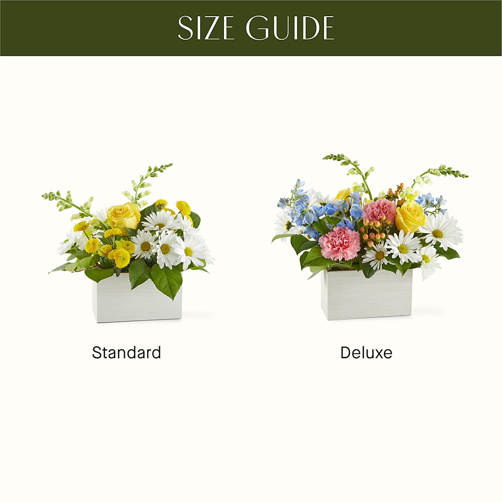 Sun Salutation Box Bouquet – GORDILLO'S FLOWERS AND GIFTS LLC, Mishawaka IN
