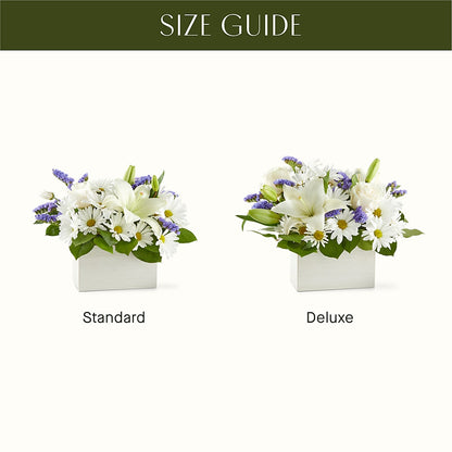 Beyond Blue Box Bouquet – GORDILLO'S FLOWERS AND GIFTS LLC, Mishawaka IN