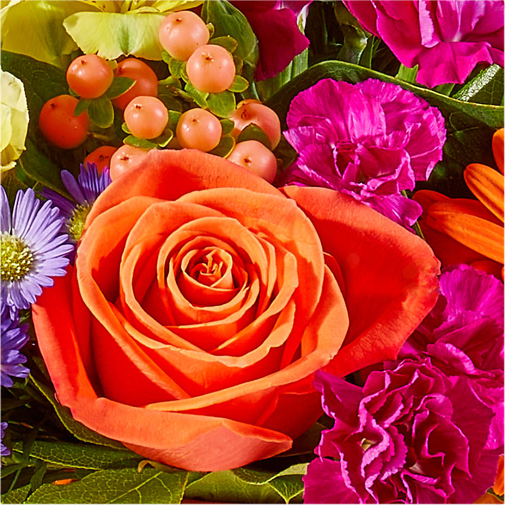 Tricks & Treats Pumpkin – GORDILLO'S FLOWERS AND GIFTS LLC, Mishawaka IN