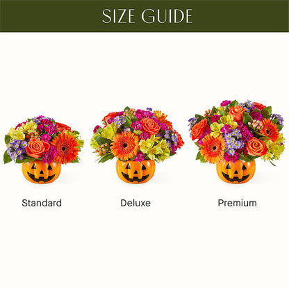 Tricks & Treats Pumpkin – GORDILLO'S FLOWERS AND GIFTS LLC, Mishawaka IN
