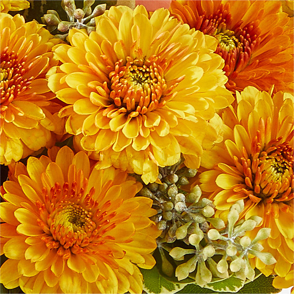 Peachy Pumpkin – GORDILLO'S FLOWERS AND GIFTS LLC, Mishawaka IN