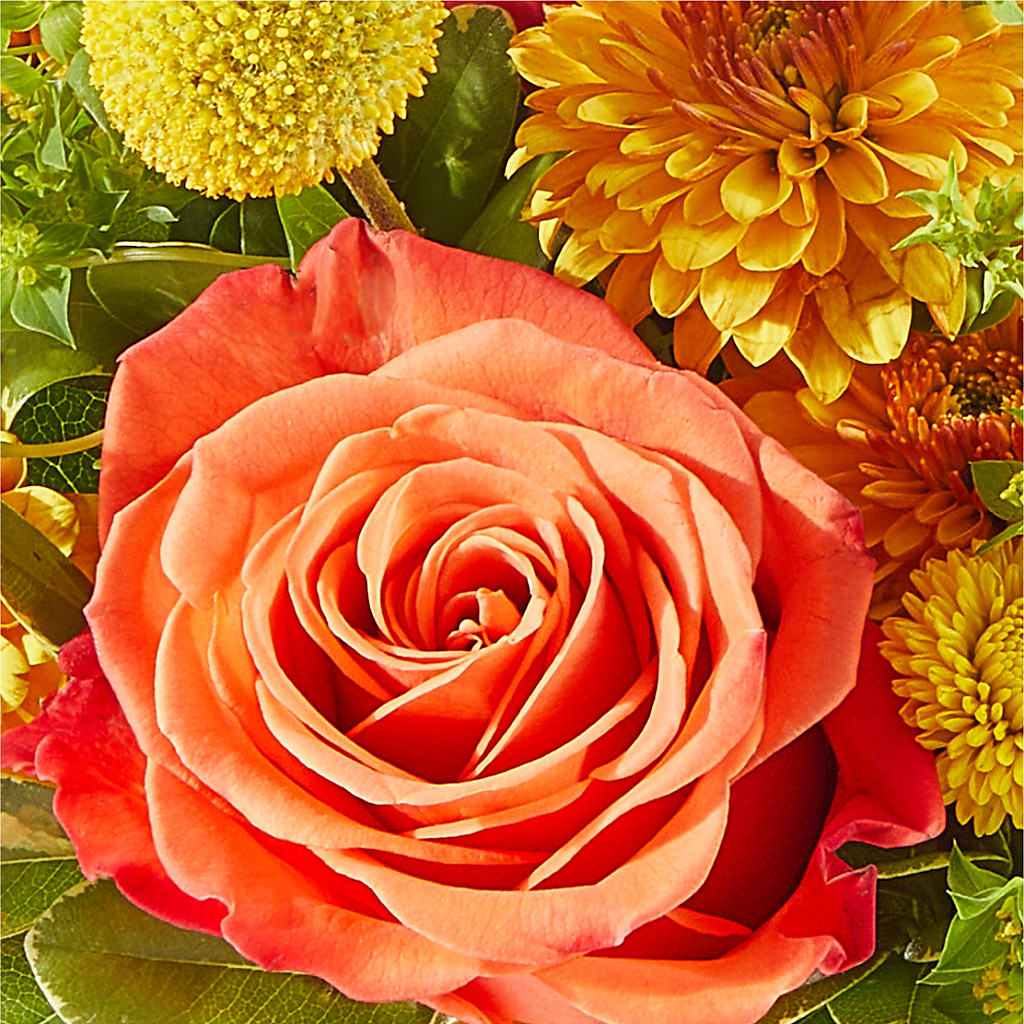 Gourdgeous Pumpkin – GORDILLO'S FLOWERS AND GIFTS LLC, Mishawaka IN