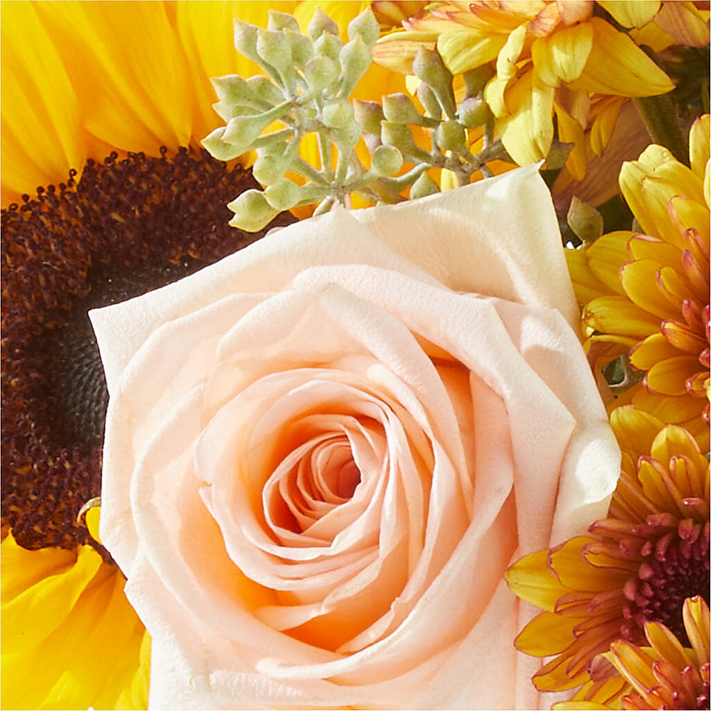 Pumpkin to Talk About Bouquet – GORDILLO'S FLOWERS AND GIFTS LLC, Mishawaka IN