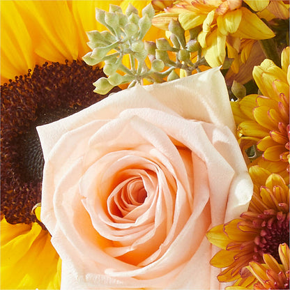 Pumpkin to Talk About Bouquet – GORDILLO'S FLOWERS AND GIFTS LLC, Mishawaka IN