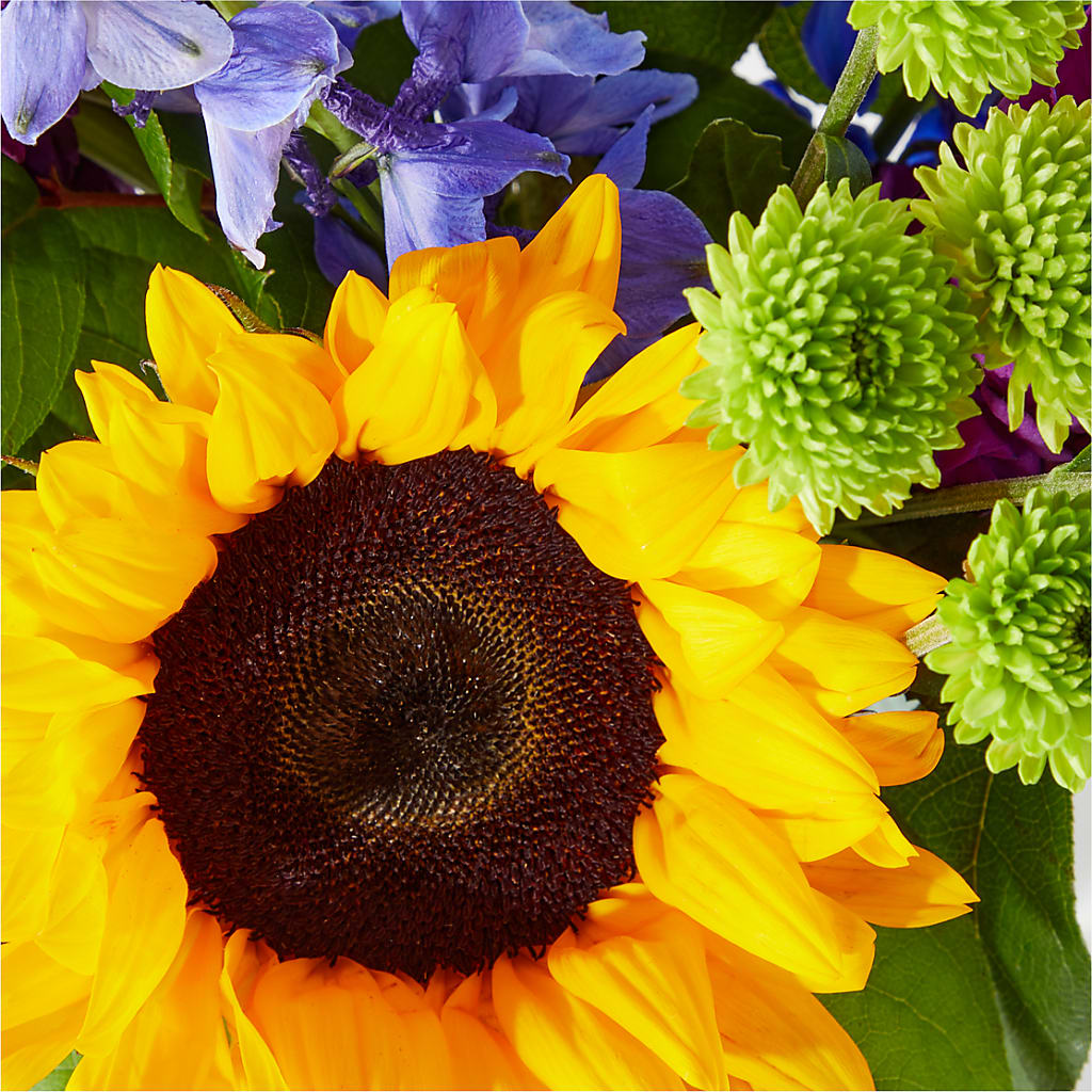 Catching Rays Bouquet – GORDILLO'S FLOWERS AND GIFTS LLC, Mishawaka IN