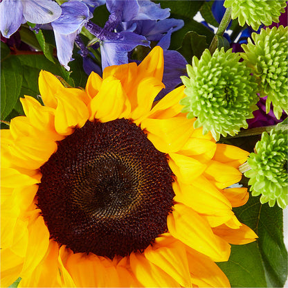 Catching Rays Bouquet – GORDILLO'S FLOWERS AND GIFTS LLC, Mishawaka IN