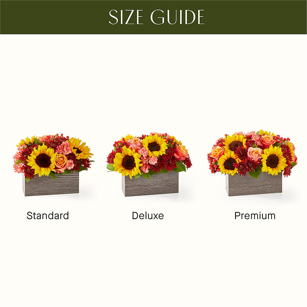 Fresh Cider Bouquet – GORDILLO'S FLOWERS AND GIFTS LLC, Mishawaka IN