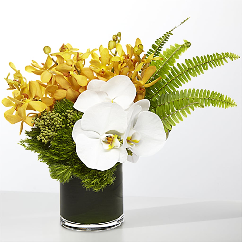 The Tropics – GORDILLO'S FLOWERS AND GIFTS LLC, Mishawaka IN