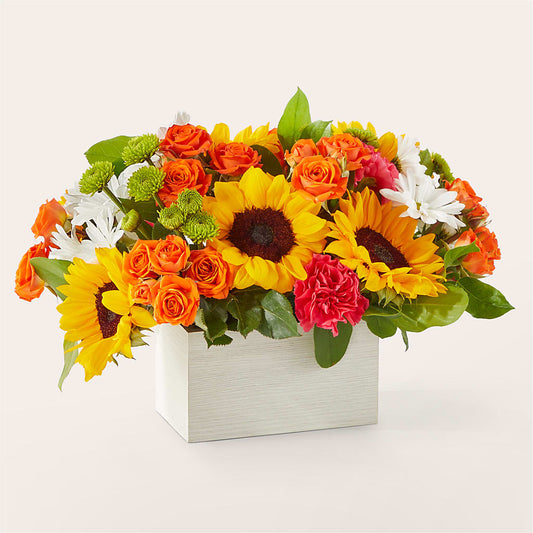 Sun-drenched Blooms Box Bouquet – GORDILLO'S FLOWERS AND GIFTS LLC, Mishawaka IN