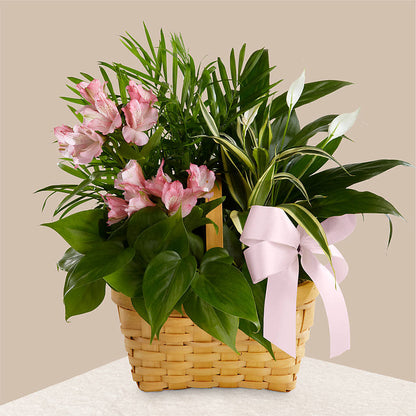 Living Spirit Dishgarden – GORDILLO'S FLOWERS AND GIFTS LLC, Mishawaka IN
