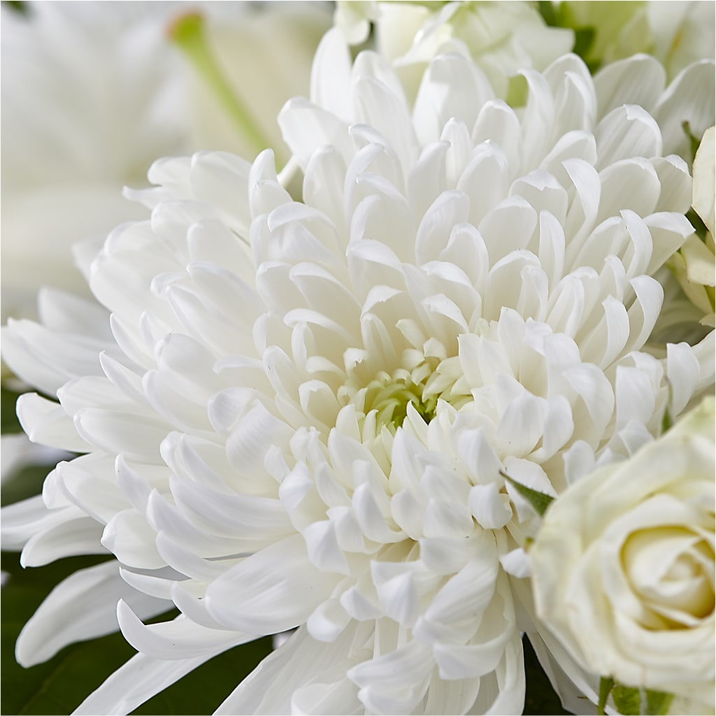 Classic Ivory – A Florist Original – GORDILLO'S FLOWERS AND GIFTS LLC, Mishawaka IN