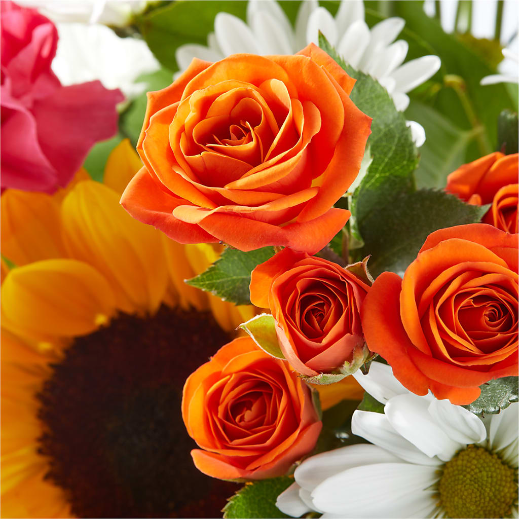 Sun-drenched Blooms Bouquet – GORDILLO'S FLOWERS AND GIFTS LLC, Mishawaka IN