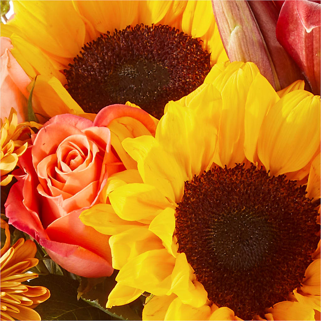 Acorn Lane Bouquet – GORDILLO'S FLOWERS AND GIFTS LLC, Mishawaka IN