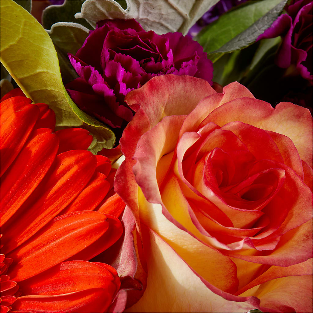 Sangria Bouquet – GORDILLO'S FLOWERS AND GIFTS LLC, Mishawaka IN