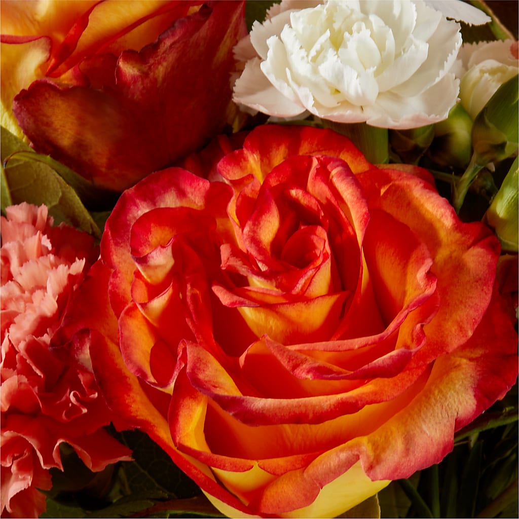 Apricot Glow Bouquet – GORDILLO'S FLOWERS AND GIFTS LLC, Mishawaka IN