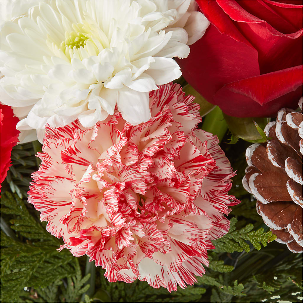 Candy Cane Lane Bouquet – GORDILLO'S FLOWERS AND GIFTS LLC, Mishawaka IN