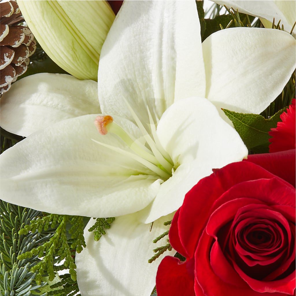 Oh So Jolly Bouquet – GORDILLO'S FLOWERS AND GIFTS LLC, Mishawaka IN