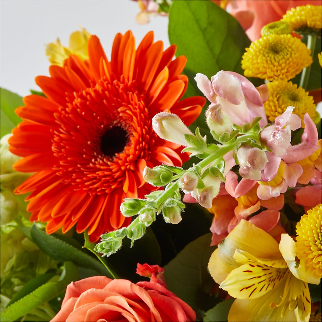 Autumn Sunshine Bouquet – GORDILLO'S FLOWERS AND GIFTS LLC, Mishawaka IN