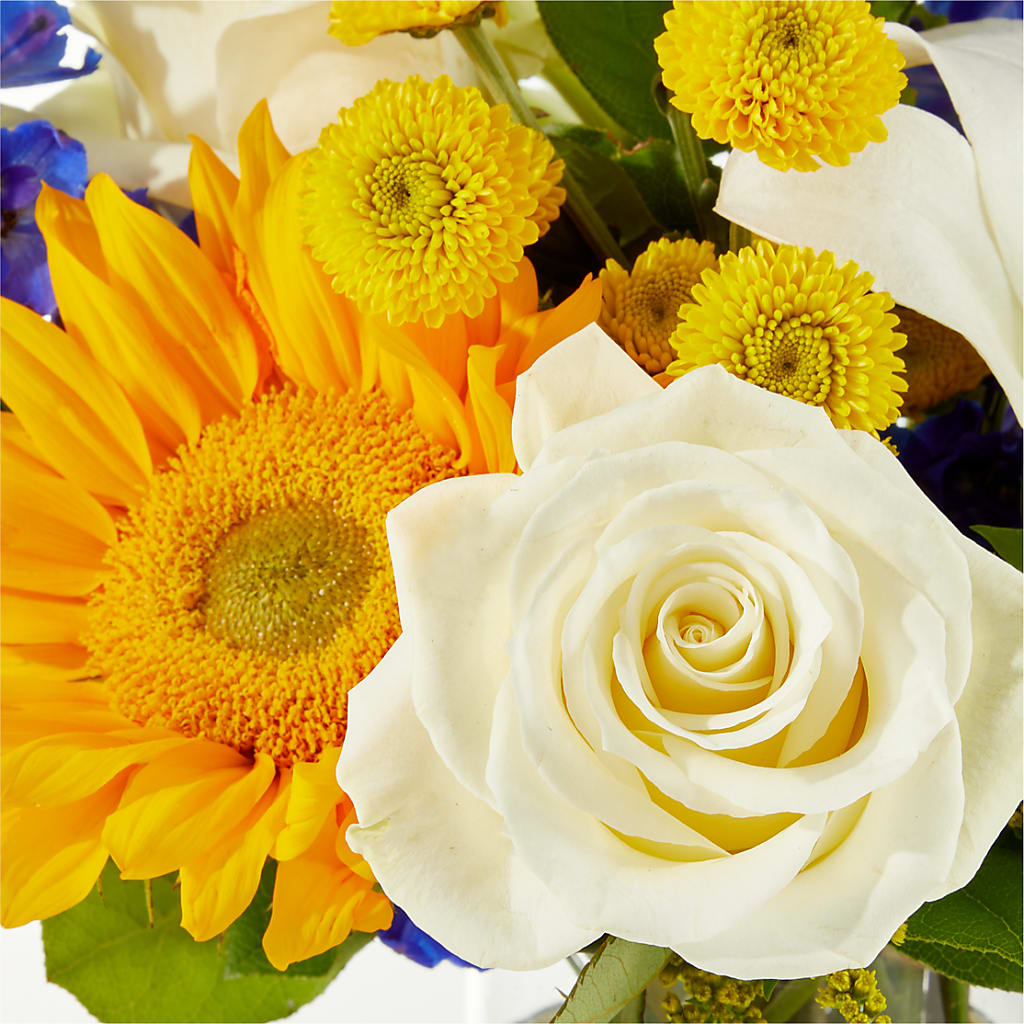 Stargazing Bouquet – GORDILLO'S FLOWERS AND GIFTS LLC, Mishawaka IN