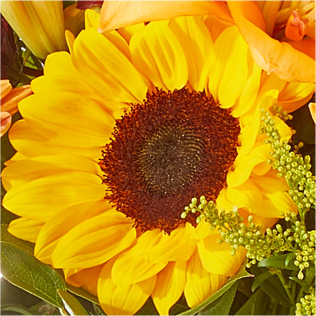 Seasons Change Bouquet – GORDILLO'S FLOWERS AND GIFTS LLC, Mishawaka IN