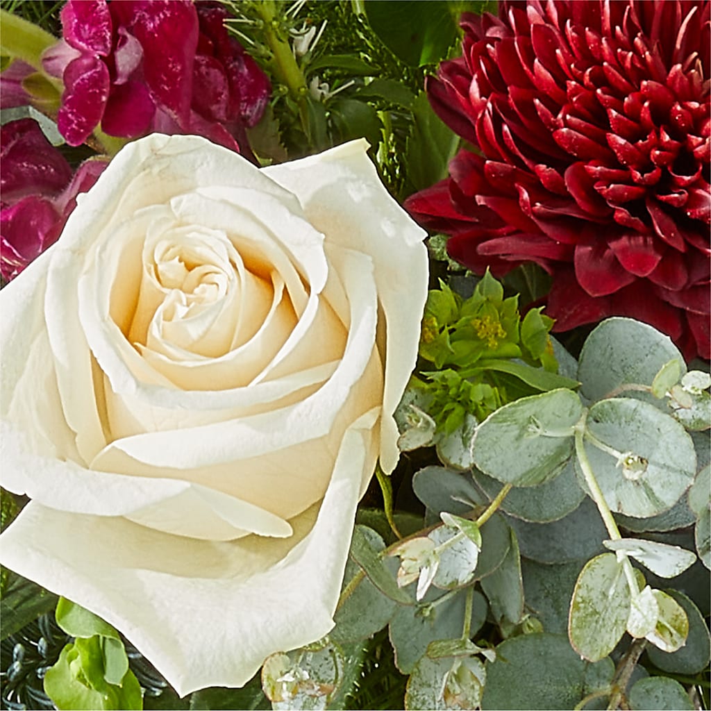 Cranberry Fizz Bouquet – GORDILLO'S FLOWERS AND GIFTS LLC, Mishawaka IN
